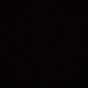 Meet your Posher, Lily